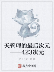 天管理的最后次元——423次元